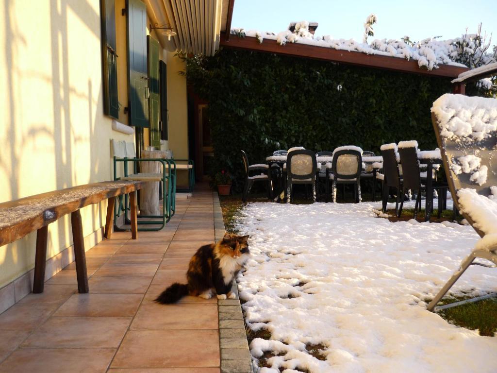 Sant'Andrea Agriturismo Con Cantina Martignago Vignaioli Asolo Prosecco Docg Wines Maser Exterior photo
